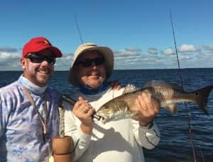 Redfish Tampa Bay Fishing the Flats 813-758-3406