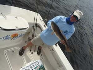 Redfish on the Outgoing Tide in Tampa Ultra Shallow
