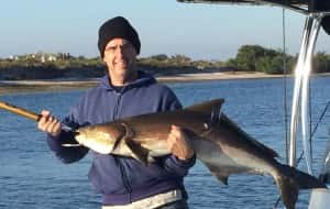 Cobia Fishing Florida in St Petersburg Tampa And Clearwater