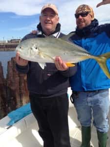 Jack Crevalle in Tampa Flats and Bay Fishing Charters