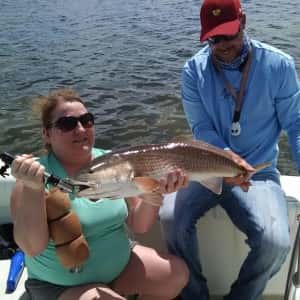 33 inch slob redfish out of Tampa Florida