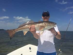 Giant Redfish in Tampa Florida Fishing Charters