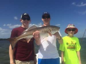 Redfish Tampa Bay Guides