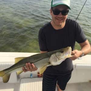 SNook are almost a guarantee